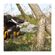imageUrl_6
