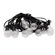 imageUrl_6