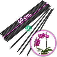 Tutor De Bambú 60cm. - x 24 Und. - Plantas - Orquídeas