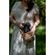 imageUrl_7