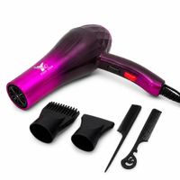 Secadora de Cabello Profesional Modelo 270239 4 en 1 de 6000W