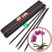 Tutor De Bambú 40cm. - x 24 Und. - Plantas - Orquídeas