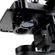 imageUrl_7