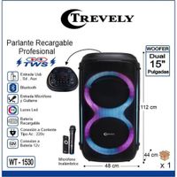 Parlante dual 15 TREVELY WT-1530 900W +  karaoke
