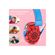 imageUrl_4
