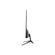 imageUrl_5