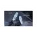 imageUrl_6