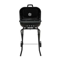 Parrilla Mr. Grill Practi Grill-300 Portátil con Ruedas