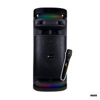 PARLANTE KASSEL CON BATERIA 60W RMS 1 MICROFONO - K828