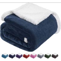 Manta Frazada Polar de Piel 2.3x2m Extra Suave Térmica Dormitorio Hogar 260345