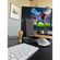 imageUrl_5