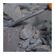 imageUrl_6