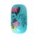 imageUrl_6