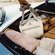 imageUrl_5