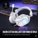 imageUrl_3