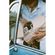 imageUrl_8