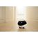 imageUrl_9