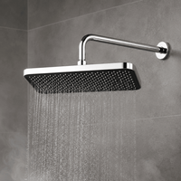 Ducha Española Premium Tipo Lluvia 30 x 20.5 cm con Brazo de 38 cm Boquillas Antical