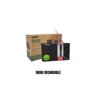 Radio Recargable Cafini CN-R12FM-BT