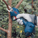 imageUrl_6