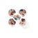 imageUrl_6