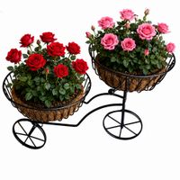 Florero Multifuncion en Forma de Triciclo Soporte Encimero para Organizador