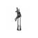 imageUrl_5