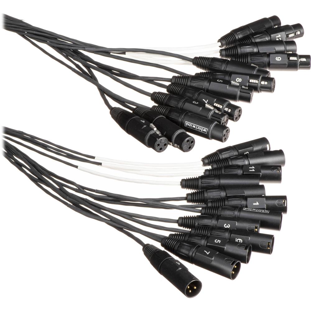 Whirlwind Medusa Multitrack 12-Channel XLR Audio Snake 10' - Conectores XLR Macho y Hembra