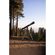 imageUrl_8