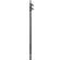 imageUrl_4