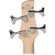 imageUrl_7