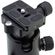 imageUrl_5