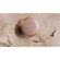 imageUrl_7