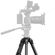 imageUrl_5