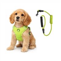 Pechera De Malla Anti Traspirante Para Mascotas Perros Talla Xl Color Verde Limón