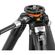 imageUrl_6