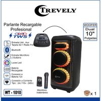 Parlante Dual 10 TREVELY WT-1010- Karaoke - 300W