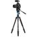 imageUrl_7