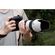 imageUrl_7