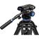 imageUrl_9