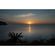 imageUrl_6