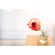 imageUrl_7