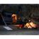 imageUrl_7