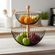 imageUrl_4