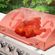 imageUrl_5