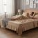 imageUrl_4