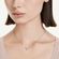 imageUrl_6