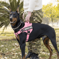Pechera Arnés para Perros de Servicio Extra Doble Color Rosado Talla S y Correa Gruesa