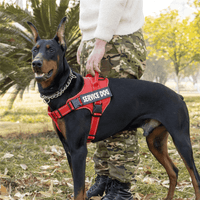 Pechera Arnés para Perros de Servicio Extra Doble Color Rojo Talla M y Correa Gruesa