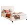 imageUrl_2